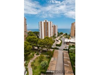 Bonito Apartamento en el Centro de Campoamor.El piso está..