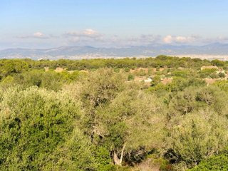 Historical Finca To Restore In Idylic..