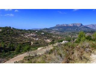 0 Bedroom 0 Bathroom PLOT FOR SALE IN..