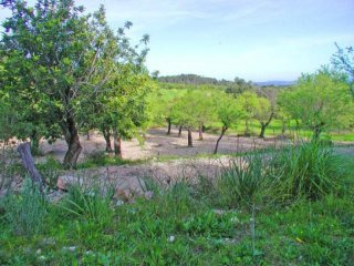 Beautiful Plot In A Privileged Location..