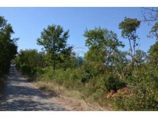 Buje okolica, građevinsko zemljište od 3908 m2