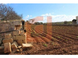 Plot Outside Building Scheme Zabbar..