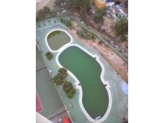Apartment, Alicante (Costa Blanca)..