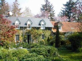 Character Home With Land & Stables