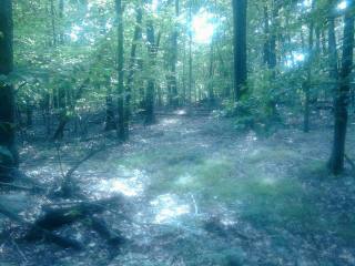 Land For Sale: Carmel, New York