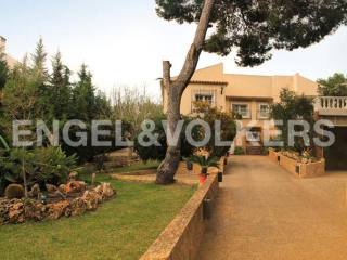 Majestic villa with great design
