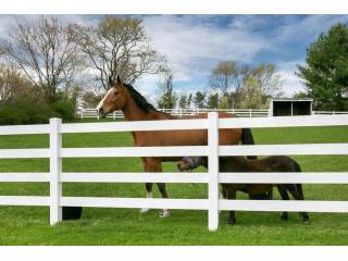 4 bedroom Flat For Sale: 10 Paddock..