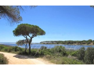 Plot For Sale: Fonte Santa, Loule..