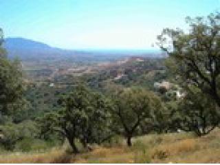 - Property - Malaga - For Sale
