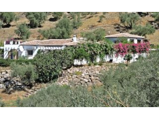 4 bedroom, 4 bathroom Finca/Country..