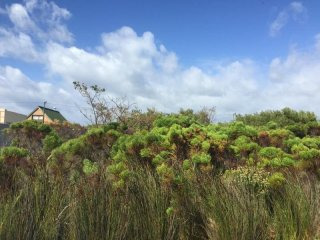 Bettys Bay Vacant Land, Bettys Bay