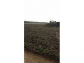 Building Plots Llagostera