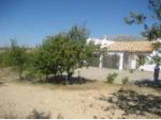 Detached villa, Almeria (Costa de..