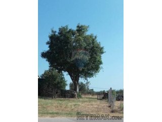 Istra, okolica Vodnjana, velika parcela sa gradjevinskim...