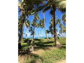 Las Canas Beachfront Lot For Sale