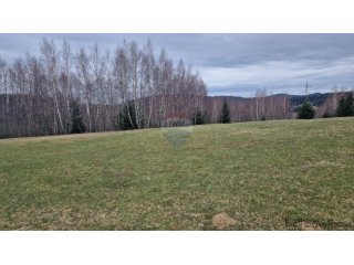 Kupjak-velik polj.teren 30000m2