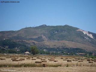 Land - Zakynthos - For Sale