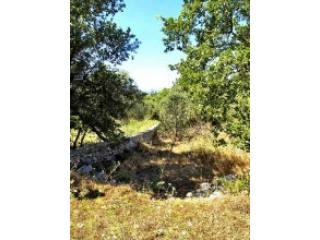 Crete Land For Sale