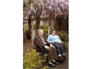 Care and Housing for the Aged Homeless...
