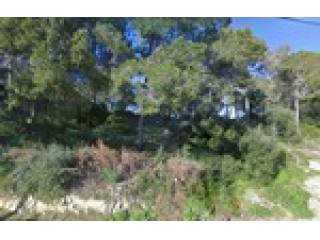 - Land - For Sale