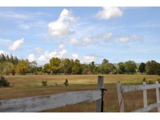 Property For Sale: Neils Plantation..