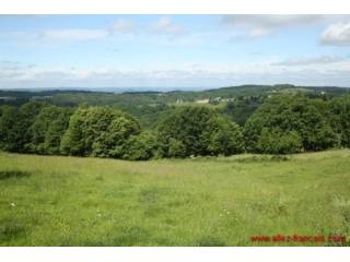 Nr Sioniac (19) - For sale : A large..