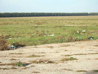Land in Sokolovo, Balchik