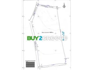 B317 - Land parcel of 12920 sqm in..