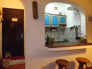 Carob Studio