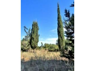 Plot For Sale In Crete