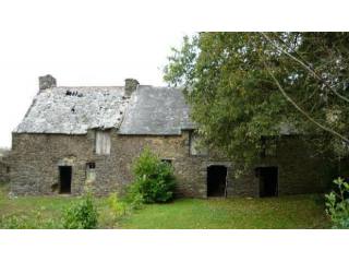 Great Renovation Prospect