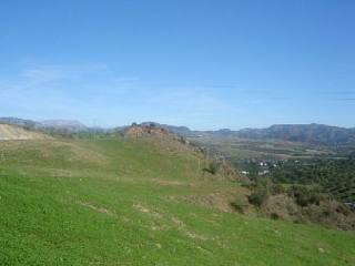 Land - Various plots of land situated..