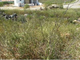Apartment - Algarve - For Sale
