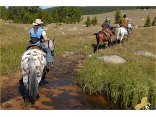 Studfarm country property USA Cody..