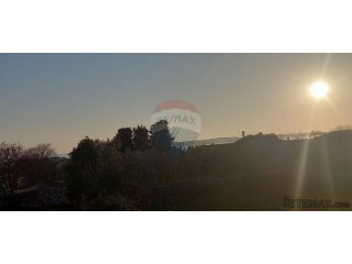 Istra, Fažana, zemljište s maslinikom