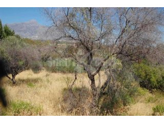 Plot/land For Sale In Nueva Andalucia..