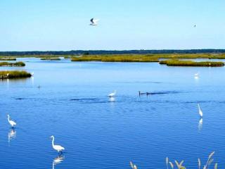 2 Bed Townhouse next to Nature Reserve