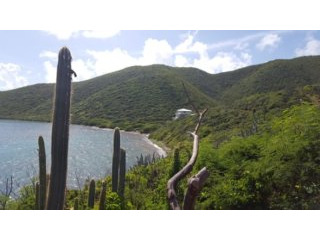 Freehold Hilltop Parcel