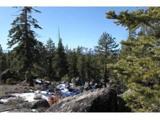 Land For Sale: Zephyr Cove, Nevada