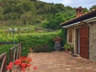 Property - Tuscany - For Sale
