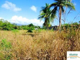 Comercial Lot In Chame