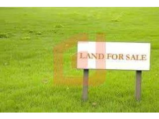 Plot Within Building Scheme Zebbug..