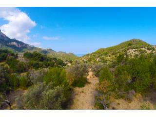 Plot With License In Estellencs