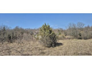 Poljoprivredno zemljište površine 7962 m2