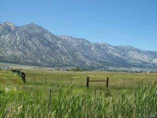 Land For Sale: Gardnerville, Nevada