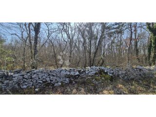 Poljoprivredno zemljište površine 23953 m2 sa ogromnim poten