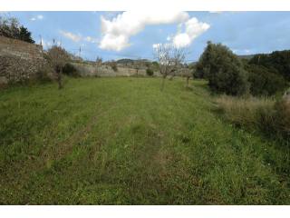 Plot - Calvia
