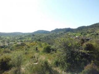 Son Macià, Manacor, finca plot for..