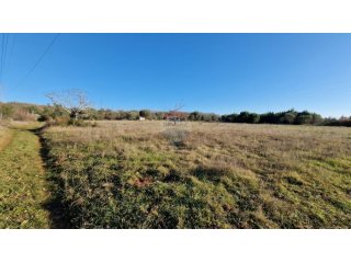 Istra, Rovinjsko Selo, poljoprivredno zemljište 27672m2