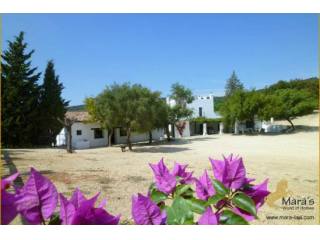 Cortijo Finca Reitimmobilie Weinberg..